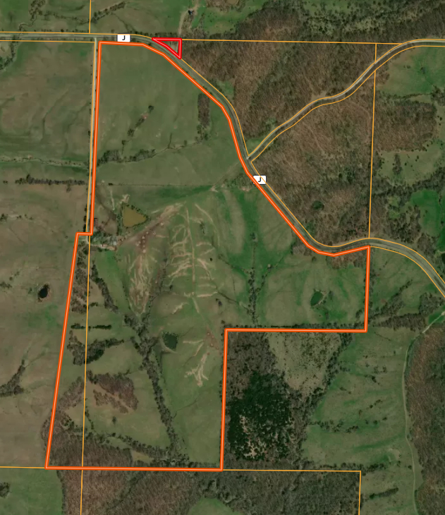 Screenshot 2026-02-20 123838.png